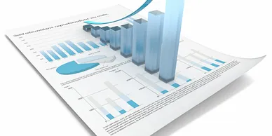 Financial Analysis